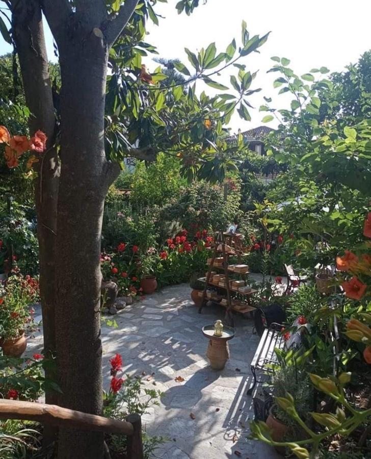 Hotel Stamatia'S Garden à Agnontas Extérieur photo