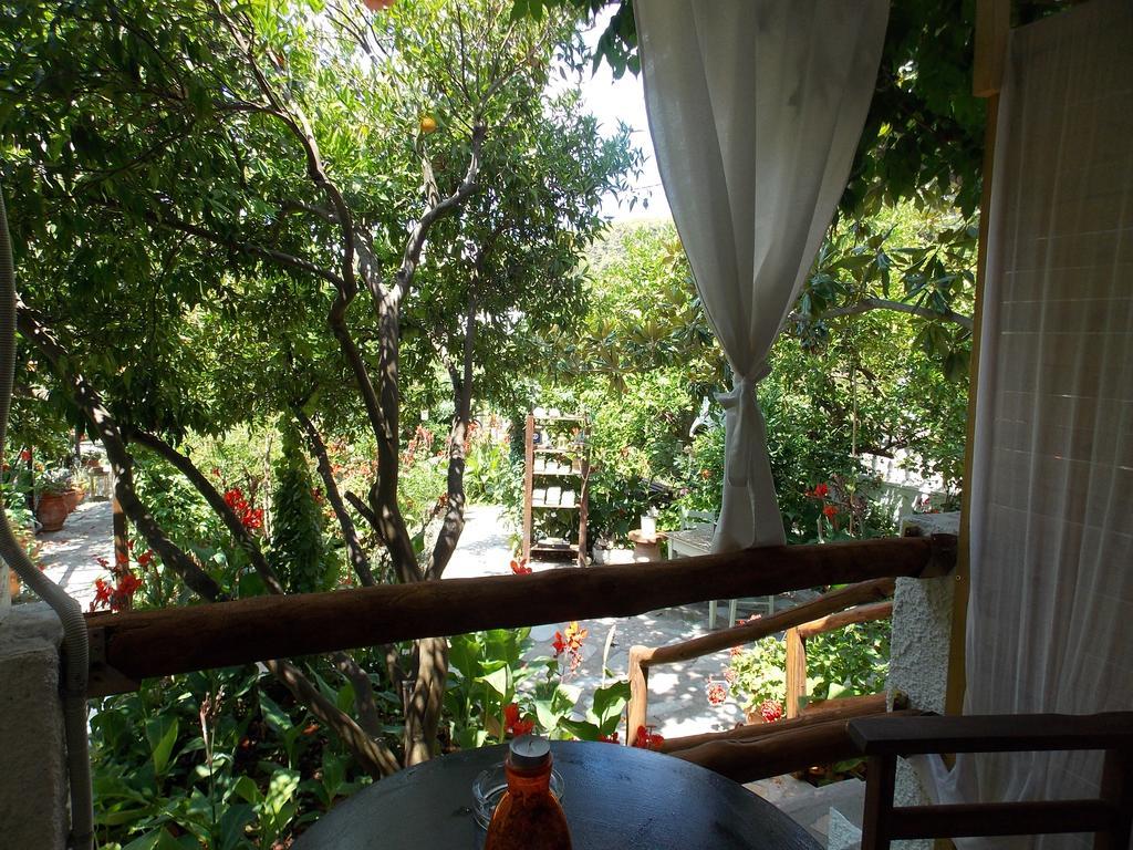 Hotel Stamatia'S Garden à Agnontas Extérieur photo