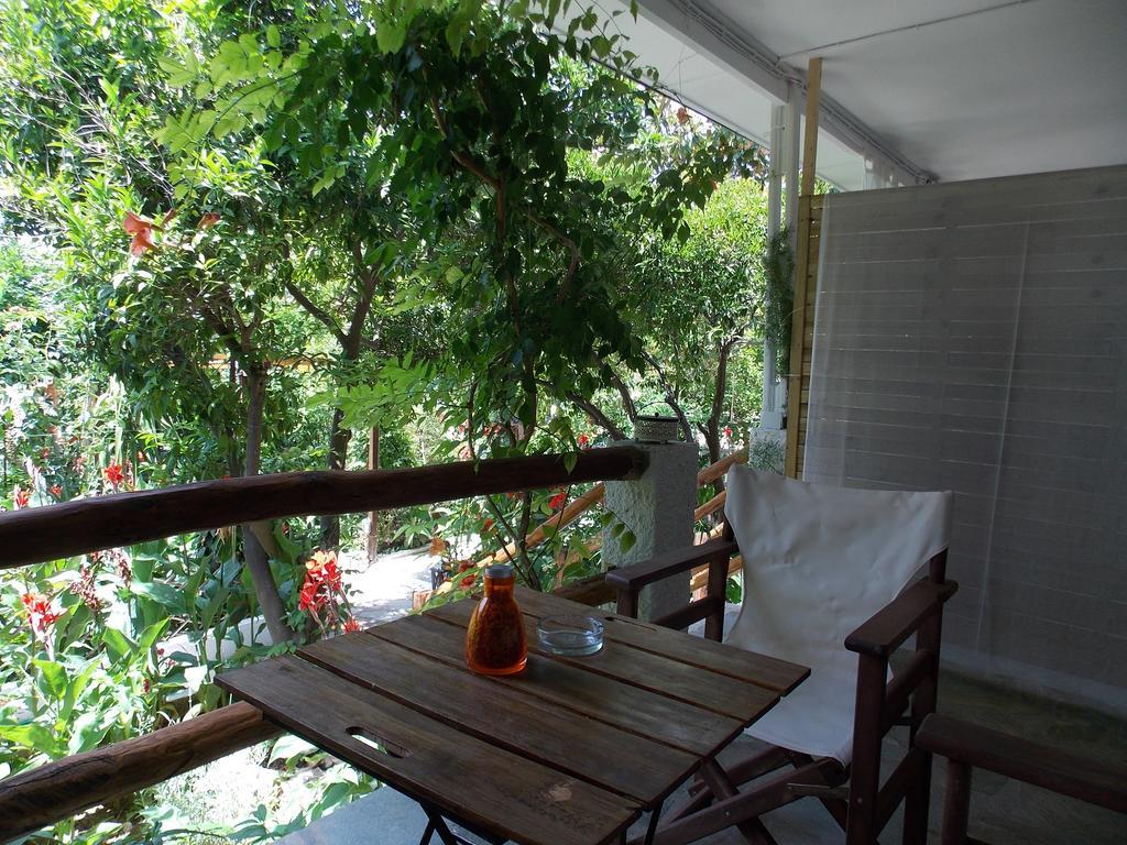 Hotel Stamatia'S Garden à Agnontas Extérieur photo