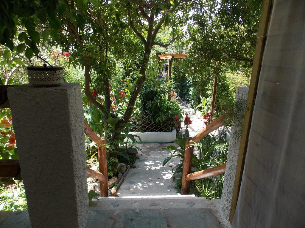 Hotel Stamatia'S Garden à Agnontas Extérieur photo