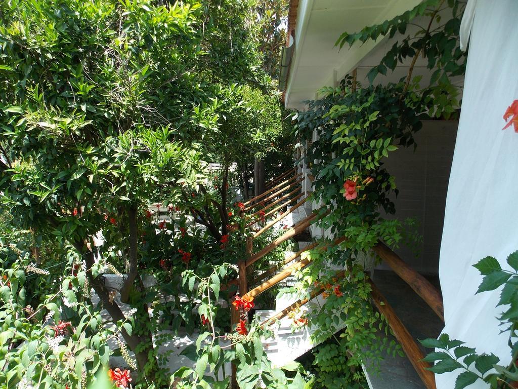 Hotel Stamatia'S Garden à Agnontas Extérieur photo