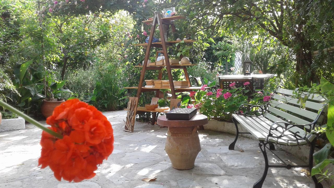 Hotel Stamatia'S Garden à Agnontas Extérieur photo