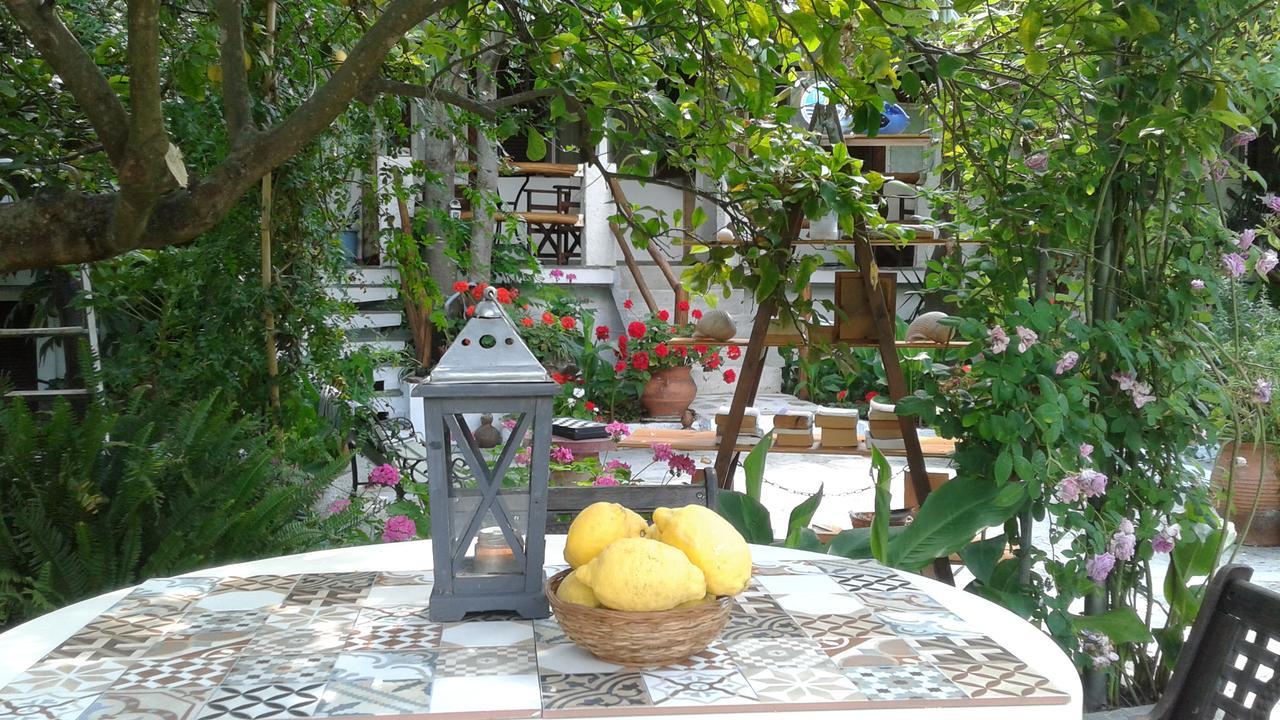 Hotel Stamatia'S Garden à Agnontas Extérieur photo