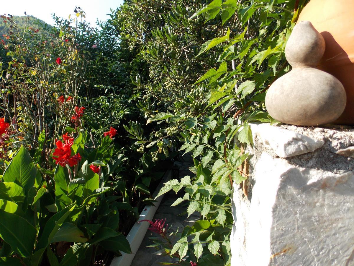 Hotel Stamatia'S Garden à Agnontas Extérieur photo