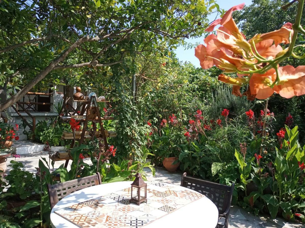 Hotel Stamatia'S Garden à Agnontas Extérieur photo
