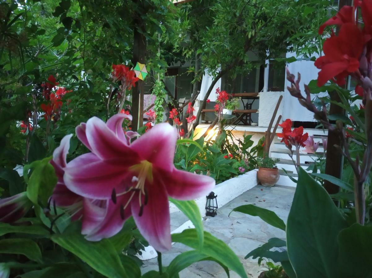 Hotel Stamatia'S Garden à Agnontas Extérieur photo