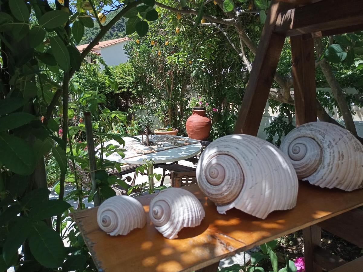 Hotel Stamatia'S Garden à Agnontas Extérieur photo